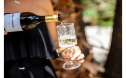 Berger Weinglas 2er Set 8 Berger Weinglas 2er Set -Campingausrüstung 594239 4331207