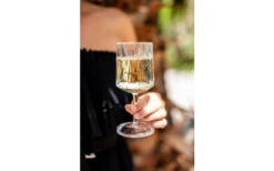 Berger Weinglas 2er Set 9 Berger Weinglas 2er Set -Campingausrüstung 690069 4697631